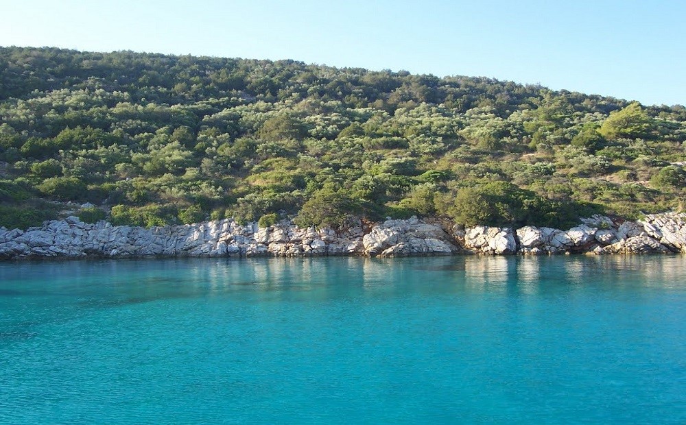 Bodrum Orak Adası Tekne Turu / 2026