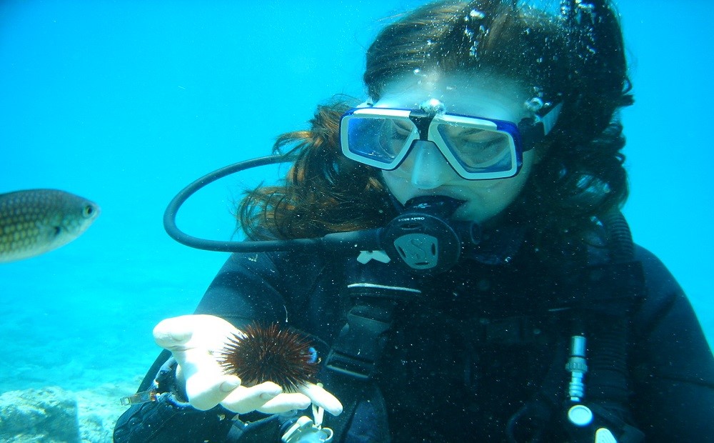 Bodrum Dalış Turu / 2026